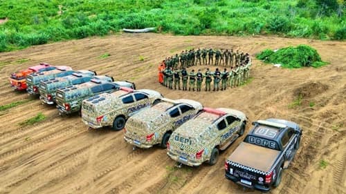Operação Conjunta erradica mega plantação de maconha na divisa Bahia-Piauí