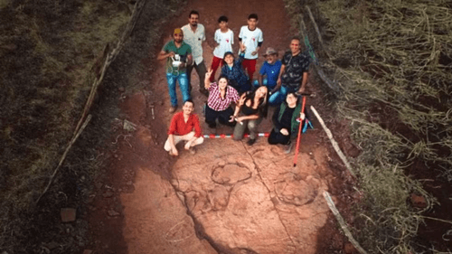 Novas pegadas de dinossauros são descobertas na Paraíba
