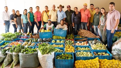 Produtores rurais assistidos pelo Programa Germinação entregam mais de 2 mil quilos de alimentos agroecológicos em Pindaí