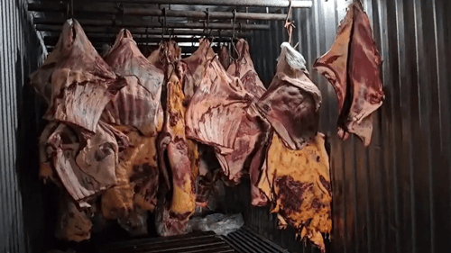 Suspeitos de vender carne estragada têm prisão preventiva decretada no Rio