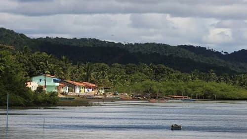 Duas crianças morrem após carro ser levado pela correnteza do rio Paraguaçu