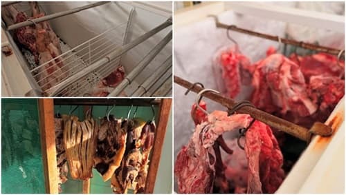 Açougue interditado em Bom Jesus da Lapa após denúncia de carne contaminada