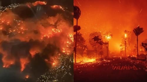 Los Angeles em chamas: Incêndios devastadores deixam a cidade em caos