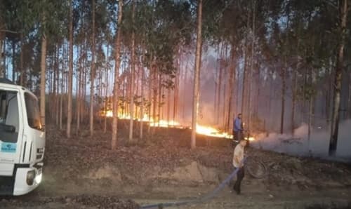 Bahia registra mais de 700 Focos de queimadas em agosto, segundo Inpe