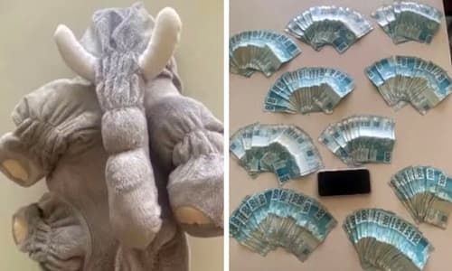 Mulher é detida com R$ 20 mil em pelúcia após ganhar valor no Jogo do Tigrinho