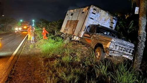 Acidente na BR-330: Caminhão Colide com Árvore em Barra do Rocha