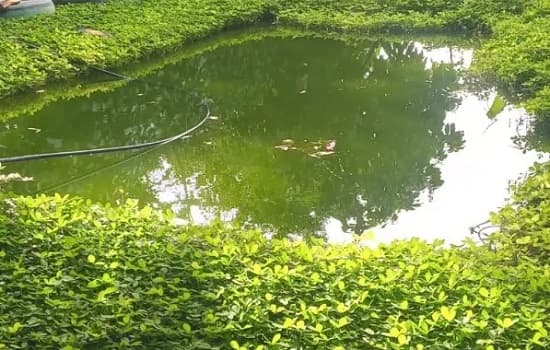 Itabela: Criança de 1 ano morre afogada em tanque de criação de peixes