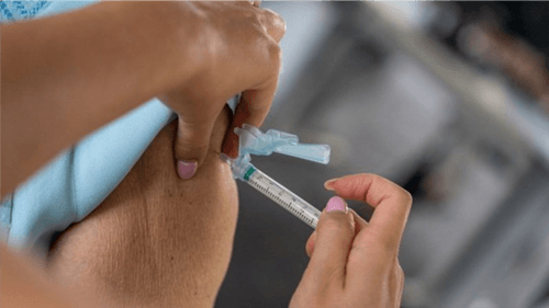 Ministério da Saúde busca incluir vacina contra Chikungunya no SUS