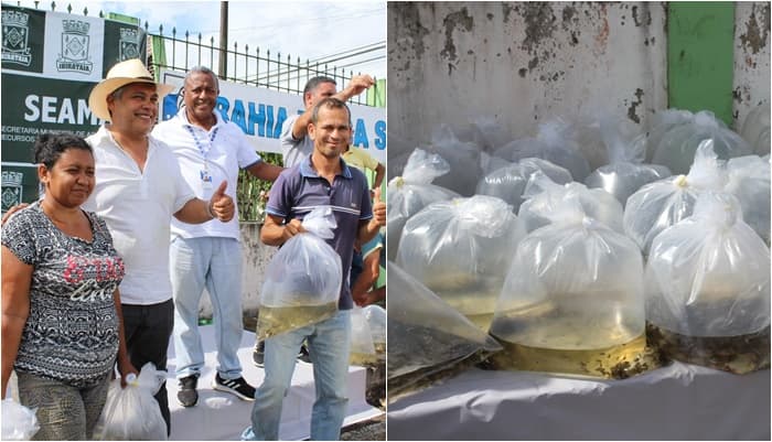 Ibirataia: Prefeitura realiza entrega de 50 mil alevinos, em parceria com a Bahia Pesca