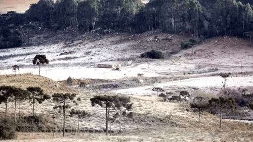 SC registra -6,5ºC na manhã desta terça-feira