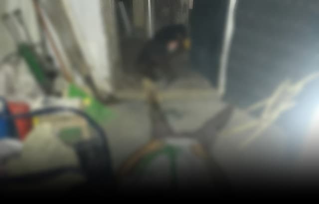 Dois homens são encontrados mortos com frasco de veneno próximo ao corpo