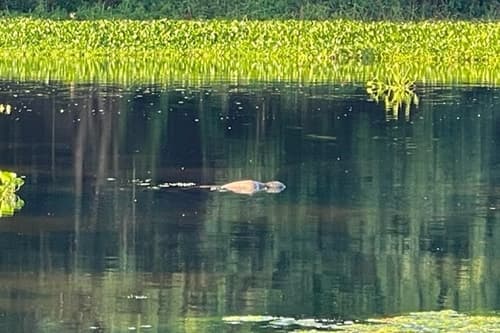 Corpo é encontrado boiando no Rio de Contas em Ipiaú
