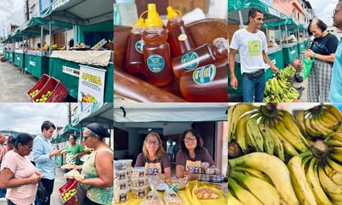 Ibirataia: 3ª Edição da Feira da Agricultura Familiar reúne produtores locais e comunidade