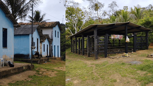 Vende-se uma Fazenda de 80 Hectares na Zona Rural de Ibirataia
