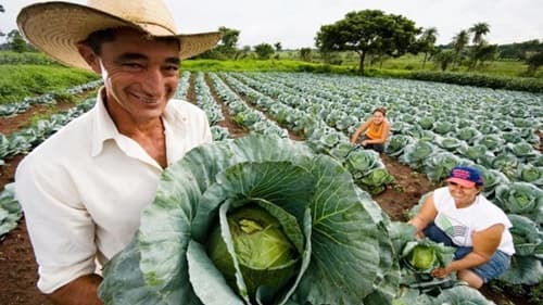 Programa de crédito rural tem aumento no teto de investimento e impulsiona mercado de terras