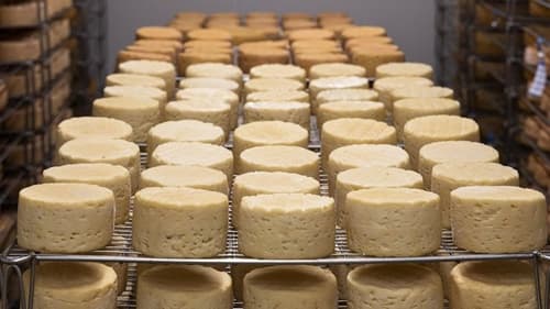Padarias e pizzaria podem aumentar preços dos produtos