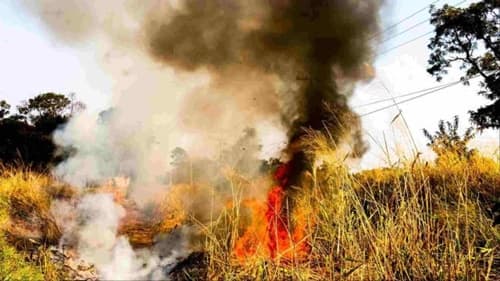 Idoso morre queimado após fogo sair do controle na zona rural de Ubatã