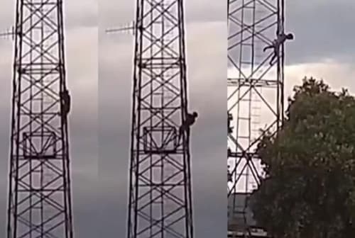 Após ser atacado por abelha homem cai de torre de telefonia em Maracás