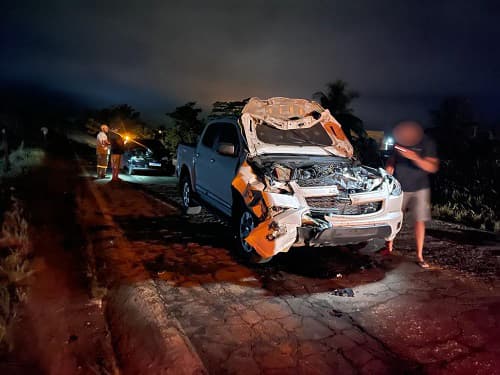 Ipiaú: Animal provoca acidente na BR-330 envolvendo dois veículos