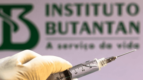 Butantan começa a produzir sua vacina contra a dengue