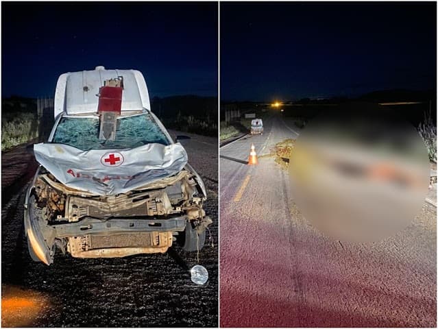 Ambulância se envolve em acidente com animal na Ba