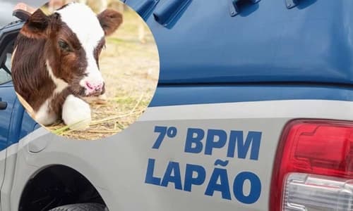 Homem é flagrado abusando de Bezerra na zona rural