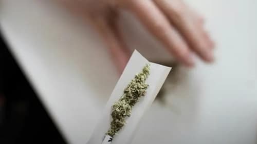 Maconha causa demência? Estudo aponta risco 23% maior entre usuários frequentes
