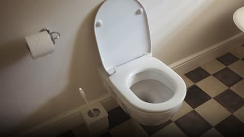 Hong Kong Adota água do mar em Sistema de Descarga Sanitária