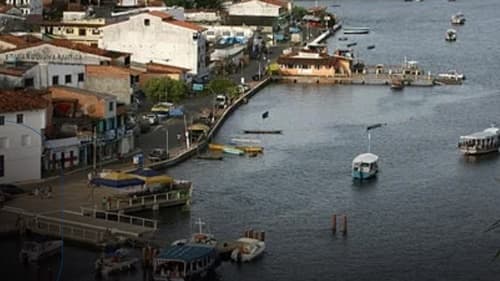 MPF investiga empresa por suspeita de contaminação por chumbo em Camamu