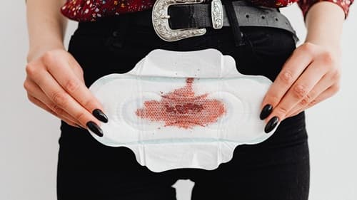 Estudo sobre sangue menstrual reacende debate sobre potencial regenerativo do corpo feminino