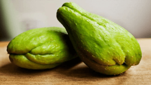 Chuchu: Um superalimento com diversos benefícios para a saúde