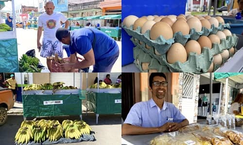 Ibirataia: Feira da Agricultura Familiar acontece nesta quinta-feira, 21, na Praça 7 de Setembro