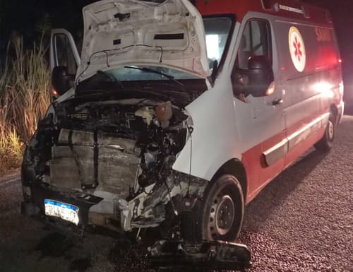 Ambulância do Samu de Dário Meira colide com animal em trecho da BA-650