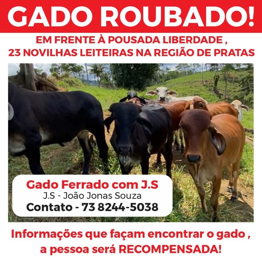 Bandidos invadem fazenda às margens da BR-101 e roubam 23 cabeças de gado