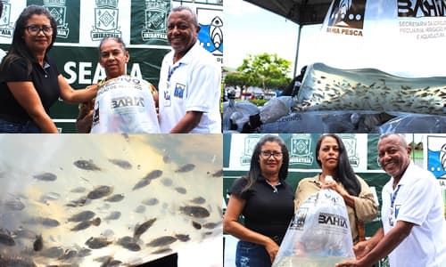 Entrega de 30 mil Alevinos beneficia Produtores Rurais em Ibirataia