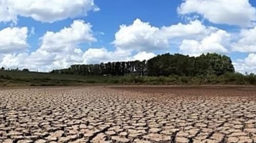 Seca castiga a Bahia: 11 cidades de Irecê decretam emergência