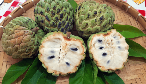 Pinha: Uma fruta tropical nutritiva e versátil