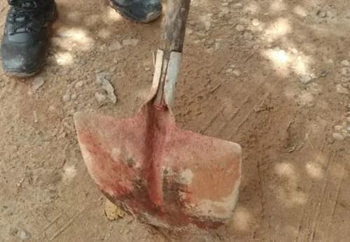 Homem invade casa e mata idosa a golpes de pá na Bahia
