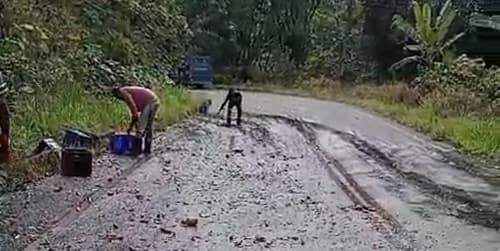 Ibirataia: Caminhão transportando cerveja tomba na BA-650 na curva da garganta; assista o vídeo