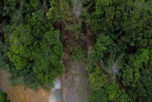 Justiça determina desocupação de loteamento em área pública de Maraú