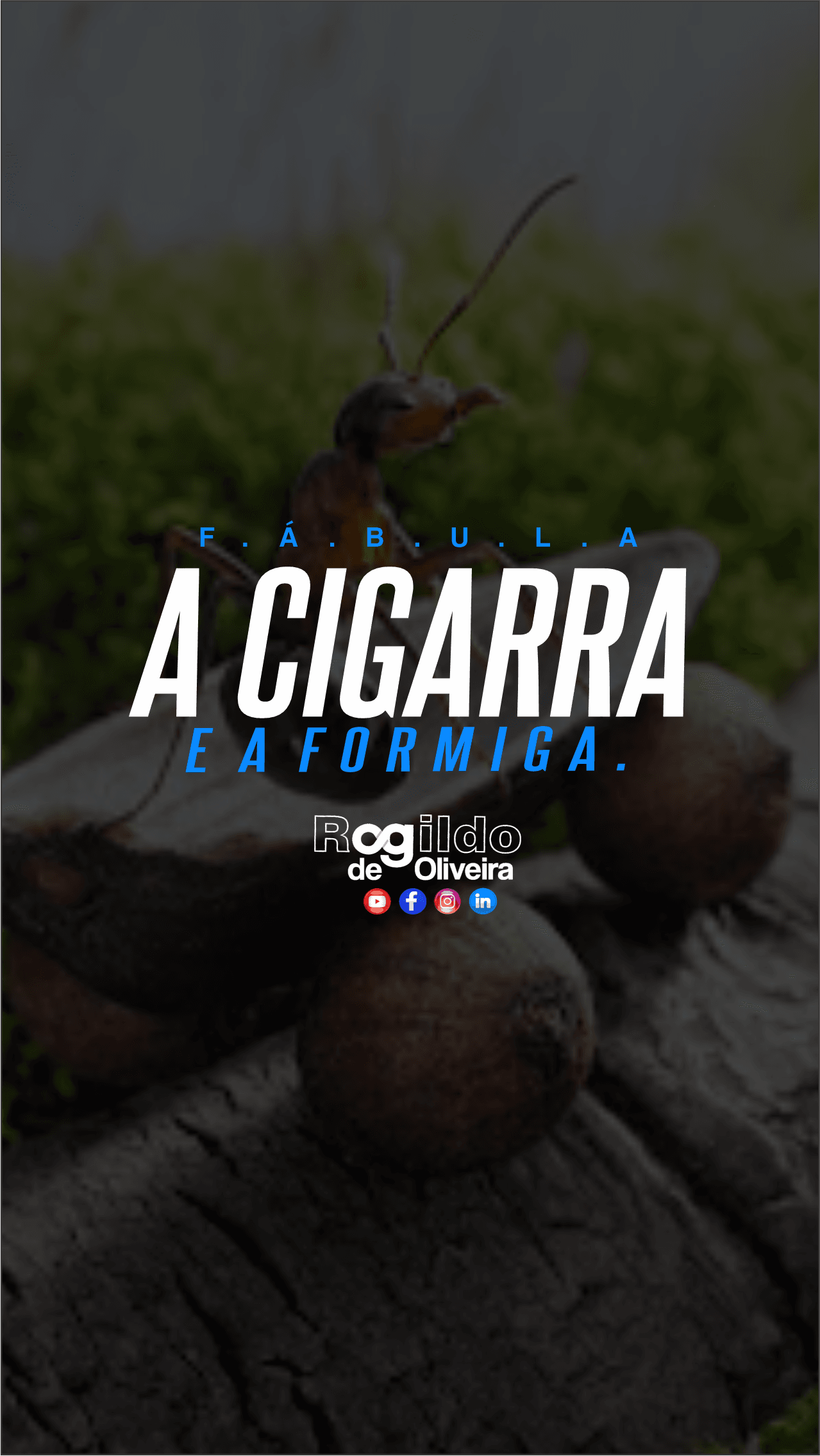 Fábula: A cigarra e a formiga com o Professor Rogildo de Oliveira; assista o vídeo