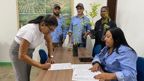 Semana do Meio Ambiente em Ibirataia: Prefeitura Recebe Doação de 800 Mudas de Árvores