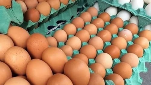 Ministério da Agricultura suspende obrigatoriedade de carimbo em cascas de ovos vendidos a granel