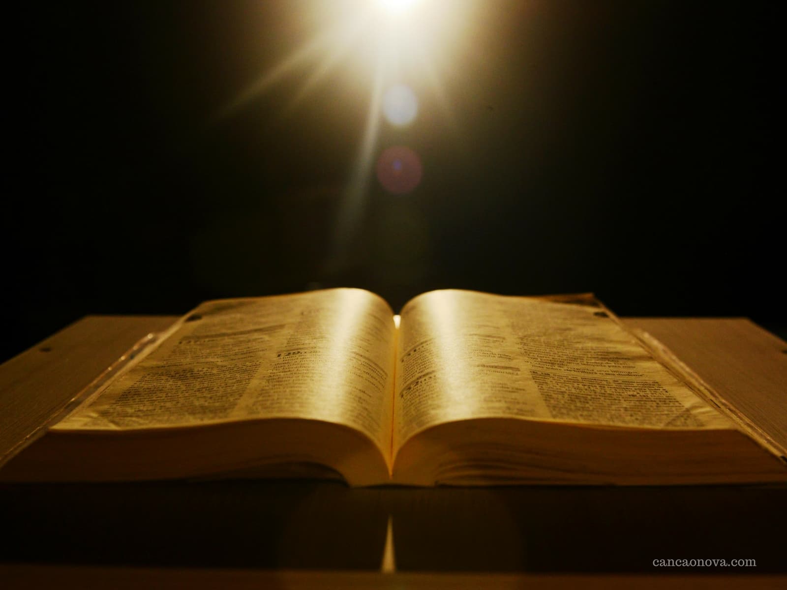 Alimento Diário | BÍBLIA : Eis que os filhos são herança do SENHOR, e o fruto do ventre o seu galardão. Salmos 127:3