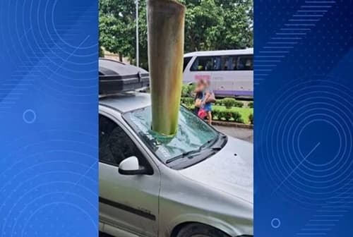 Galho de Palmeira Imperial atravessa para-brisa de carro na Uesc, em Ilhéus