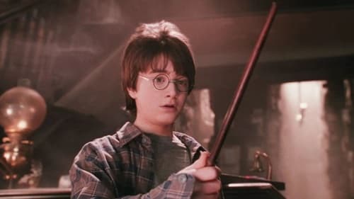 Harry Potter volta aos cinemas após 25 anos com sessões especiais no Brasil