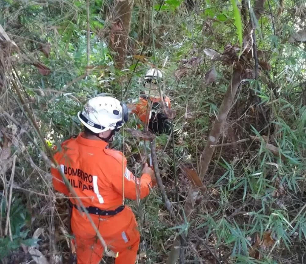 Mulher é resgatada após ficar 6 dias desaparecida em região de mata na Bahia