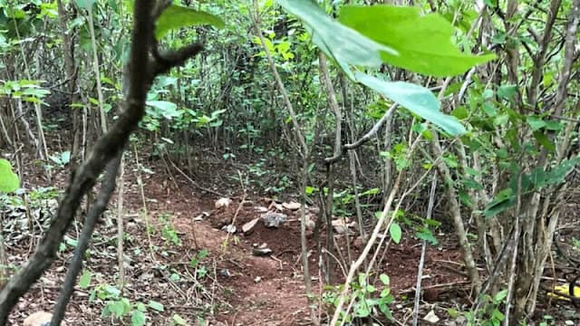 Casal sai para passear a cavalo, desaparece e é encontrado morto na Chapada Diamantina