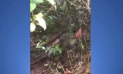 Corpo é encontrado às margens da rodovia Ilhéus/Uruçuca