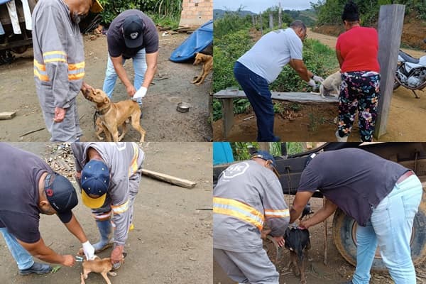Campanha de Vacinação Antirrábica protege Animais na Zona Rural de Ibirataia